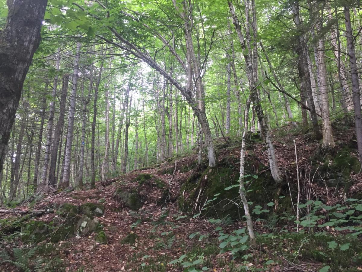 Chalet Nature Laurentides Val-des-Lacs Eksteriør billede